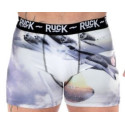 boxer king ruck