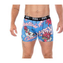Boxer coq