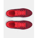 Chaussures de course Charged Rogue 4