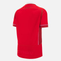 Maillot rwc Pays de galles WRU REPLICA HOME