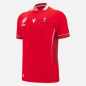 Maillot rwc Pays de galles WRU REPLICA HOME