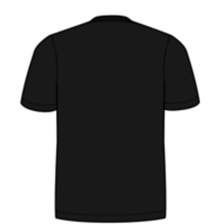 TEE SHIRT CHAMPIONS  Stade Toulousain Back 4 Back